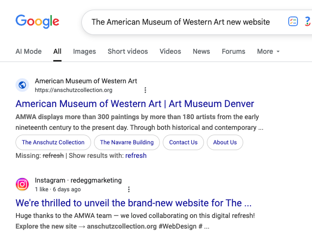 screenshot of SERP results showing our instagram post was indexed by Google 