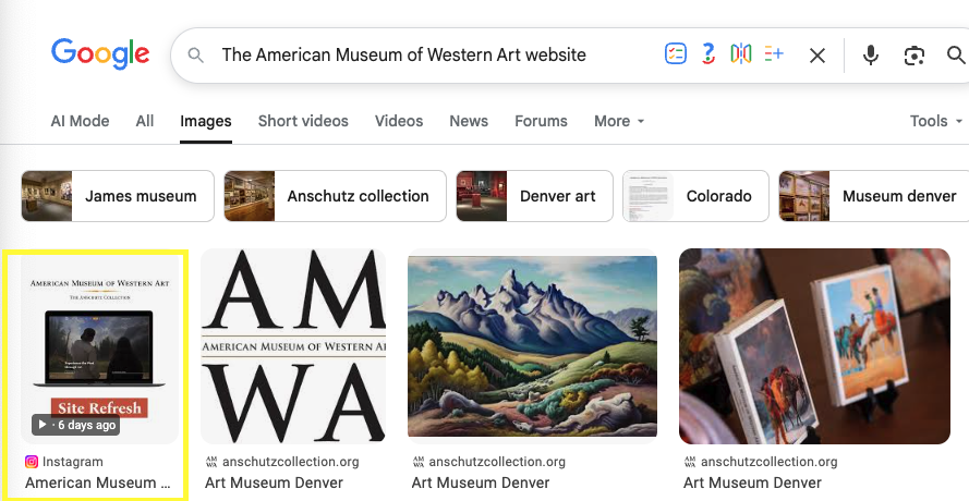scressnhot of image results on google showcasing how Google indexed our instagram post about AMWA